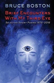 Capa do artigo Brief Encounters With My Third Eye