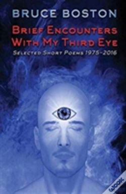 Capa do artigo Brief Encounters With My Third Eye