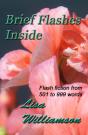 Brief Flashes Inside - Preview