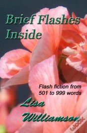 Capa do artigo Brief Flashes Inside