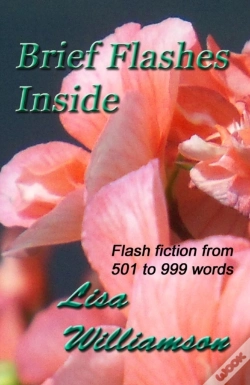 Capa do artigo Brief Flashes Inside