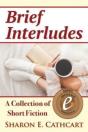 Brief Interludes - Preview