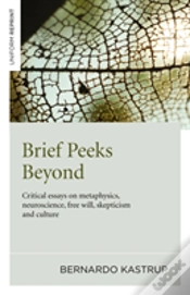 Capa do artigo Brief Peeks Beyond