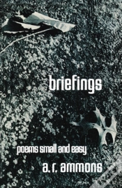 Capa do artigo Briefings