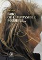 Brig Ou L'Impossible Possible... : Chroniques D'Un Amour Au Temps Du Virtuel - Preview