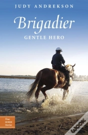 Capa do artigo Brigadier
