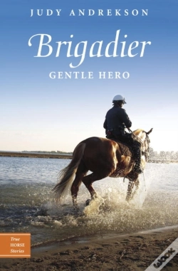 Capa do artigo Brigadier