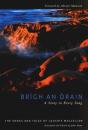 Brigh An Orain - A Story In Every Song - Preview