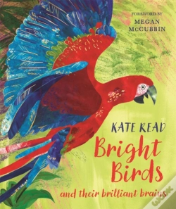 Capa do artigo Bright Birds