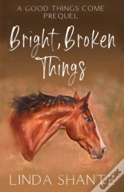 Capa do artigo Bright, Broken Things