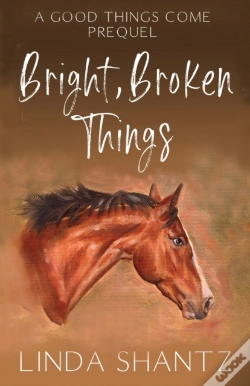 Capa do artigo Bright, Broken Things