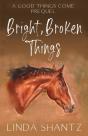 Bright, Broken Things - Preview