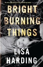 Capa do artigo Bright Burning Things