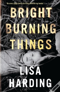 Capa do artigo Bright Burning Things
