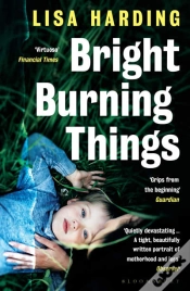 Capa do artigo Bright Burning Things