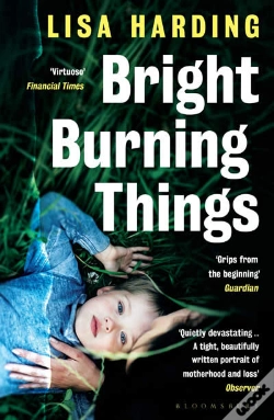 Capa do artigo Bright Burning Things