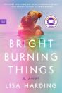 Bright Burning Things - Preview