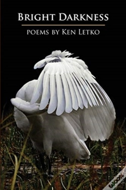 Capa do artigo Bright Darkness