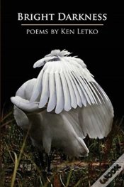 Capa do artigo Bright Darkness