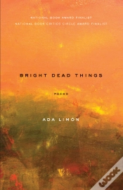 Capa do artigo Bright Dead Things