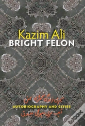 Capa do artigo Bright Felon