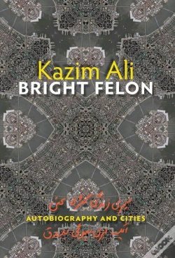 Capa do artigo Bright Felon