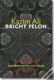 Capa do artigo Bright Felon