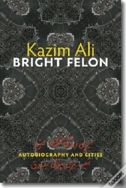 Capa do artigo Bright Felon