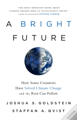 Capa do artigo Bright Future