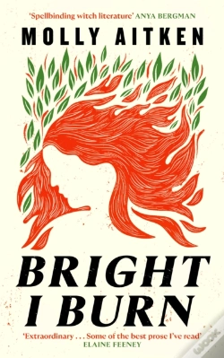 Capa do artigo Bright I Burn