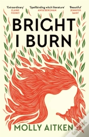 Capa do artigo Bright I Burn