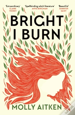 Capa do artigo Bright I Burn