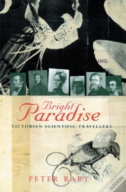 Capa do artigo Bright Paradise