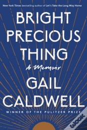 Capa do artigo Bright Precious Thing