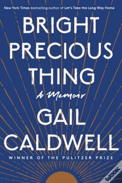 Capa do artigo Bright Precious Thing