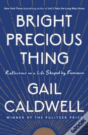 Capa do artigo Bright Precious Thing