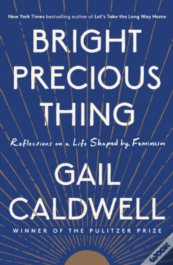 Capa do artigo Bright Precious Thing