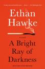 Bright Ray Of Darkness - Preview