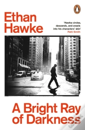 Capa do artigo Bright Ray Of Darkness