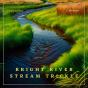 Bright River Stream Trickle - Preview