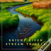 Capa do artigo Bright River Stream Trickle
