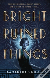 Bright Ruined Things