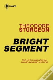 Capa do artigo Bright Segment
