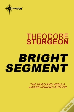 Capa do artigo Bright Segment