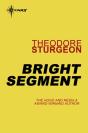 Bright Segment - Preview