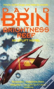 Capa do artigo Brightness Reef