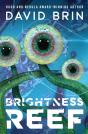 Brightness Reef - Preview