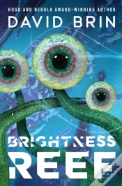 Capa do artigo Brightness Reef