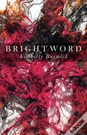 Capa do artigo Brightword