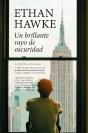 Brillante Rayo De Oscuridad, Un (Leb) - Preview